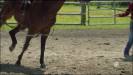 Heartland - Season 20 Episode 03